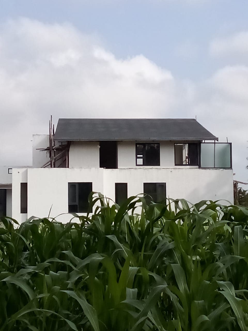 Mild Steel Roofing